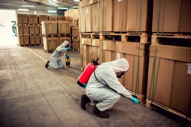 Trusted Brookside Village, TX Pest Control Experts