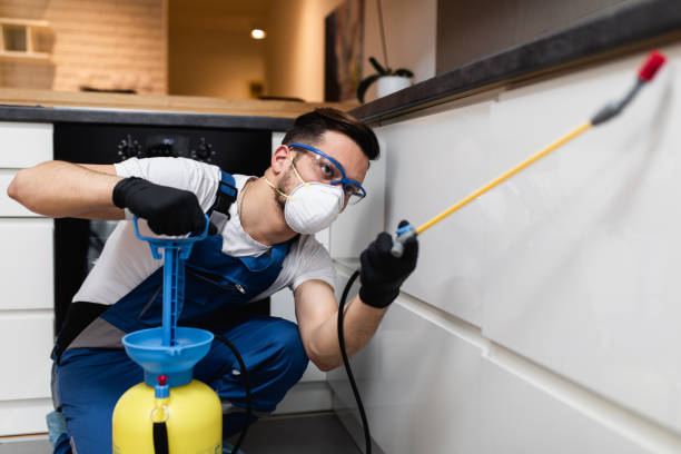 Best Affordable Pest Control Services  in Brookside Village, TX