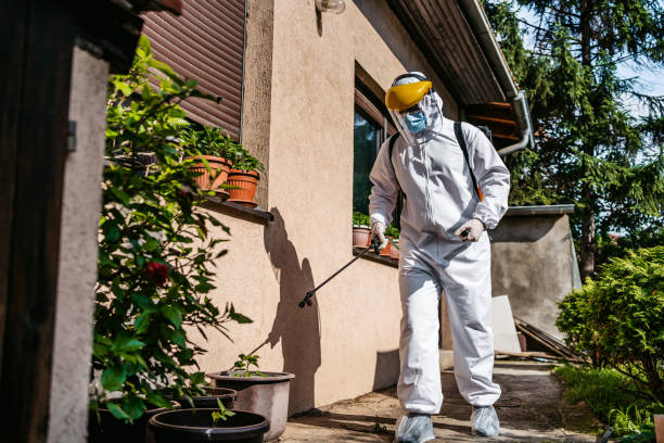 Best Best Pest Control Companies  in Brookside Village, TX