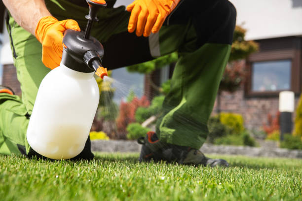 Best Pest Removal Services  in Brookside Village, TX