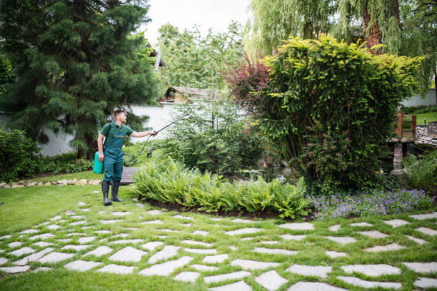 Best Pest Prevention Services  in Brookside Village, TX