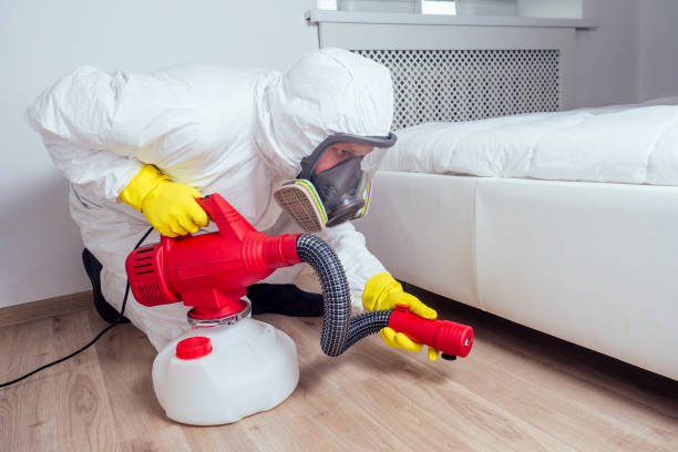 Best Affordable Pest Control Services  in Brookside Village, TX