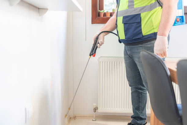 Best Rat Extermination Near Me  in Brookside Village, TX