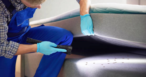 Best Residential Pest Control  in Brookside Village, TX